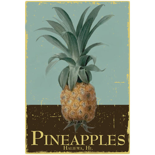 Pineapples Boutique Hawaii logo designed by Rousseau Graphics